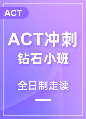 ACT_@ʯС